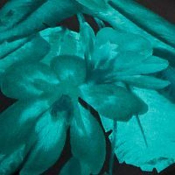 CONNECTED APPAREL Womens Green Jersey Bell Sleeve Sheath Dress Plus 20W - Picture 4 of 4